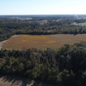 Photo #11 of Off Wintergreen Road, Cove City, NC 91.3 acres