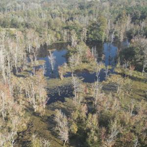 Photo #21 of Off Wintergreen Road, Cove City, NC 91.3 acres