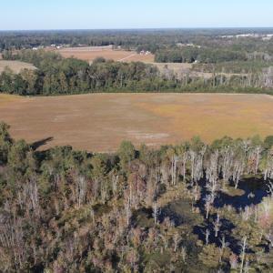Photo #6 of Off Wintergreen Road, Cove City, NC 91.3 acres