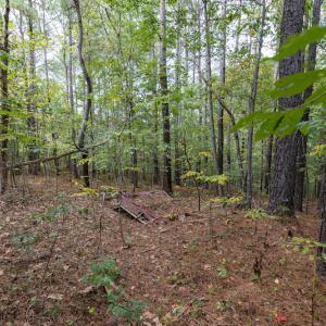 Photo #9 of SOLD property in 108 Beaver Court, Louisburg, NC 3.2 acres