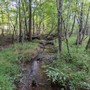 Photo #11 of SOLD property in 108 Beaver Court, Louisburg, NC 3.2 acres