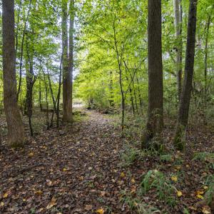 Photo #12 of SOLD property in 108 Beaver Court, Louisburg, NC 3.2 acres