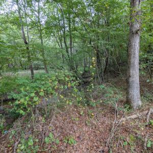 Photo #13 of SOLD property in 108 Beaver Court, Louisburg, NC 3.2 acres