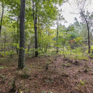 Photo #14 of SOLD property in 108 Beaver Court, Louisburg, NC 3.2 acres