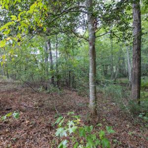 Photo #15 of SOLD property in 108 Beaver Court, Louisburg, NC 3.2 acres