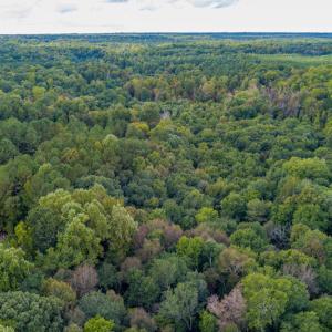 Photo #7 of SOLD property in 108 Beaver Court, Louisburg, NC 3.2 acres
