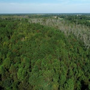 Photo #6 of Off Richland Drive, Red Springs, NC 9.5 acres