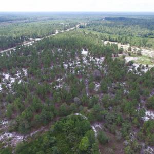 Photo #11 of SOLD property in 2139 Norris Road, Garland, NC 70.8 acres
