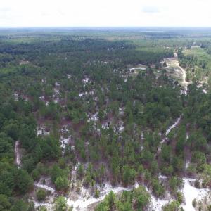 Photo #12 of SOLD property in 2139 Norris Road, Garland, NC 70.8 acres