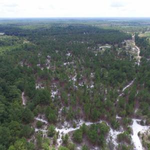 Photo #13 of SOLD property in 2139 Norris Road, Garland, NC 70.8 acres