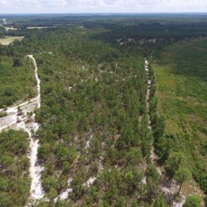 Photo #14 of SOLD property in 2139 Norris Road, Garland, NC 70.8 acres