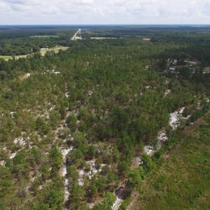 Photo #15 of SOLD property in 2139 Norris Road, Garland, NC 70.8 acres
