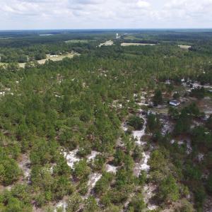 Photo #16 of SOLD property in 2139 Norris Road, Garland, NC 70.8 acres