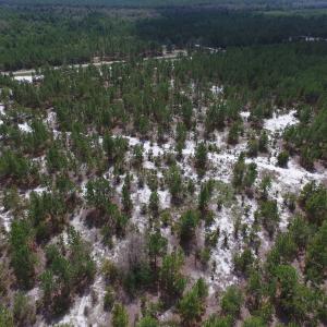 Photo #18 of SOLD property in 2139 Norris Road, Garland, NC 70.8 acres