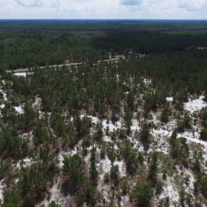 Photo #19 of SOLD property in 2139 Norris Road, Garland, NC 70.8 acres