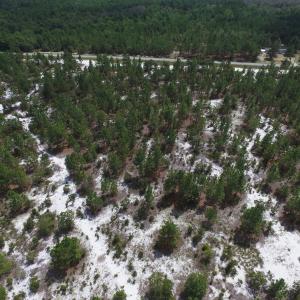 Photo #20 of SOLD property in 2139 Norris Road, Garland, NC 70.8 acres