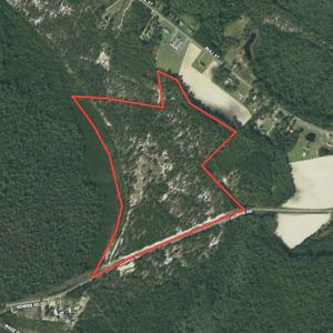 Photo #46 of SOLD property in 2139 Norris Road, Garland, NC 70.8 acres