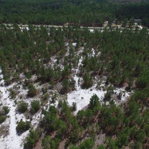 Photo #21 of SOLD property in 2139 Norris Road, Garland, NC 70.8 acres