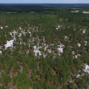 Photo #23 of SOLD property in 2139 Norris Road, Garland, NC 70.8 acres