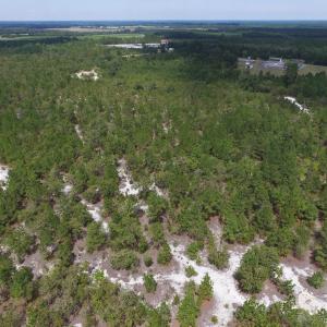 Photo #24 of SOLD property in 2139 Norris Road, Garland, NC 70.8 acres