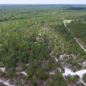 Photo #25 of SOLD property in 2139 Norris Road, Garland, NC 70.8 acres