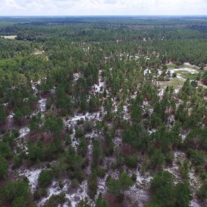 Photo #26 of SOLD property in 2139 Norris Road, Garland, NC 70.8 acres