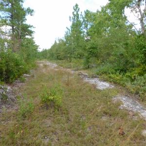 Photo #27 of SOLD property in 2139 Norris Road, Garland, NC 70.8 acres
