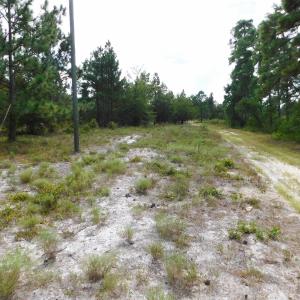 Photo #28 of SOLD property in 2139 Norris Road, Garland, NC 70.8 acres