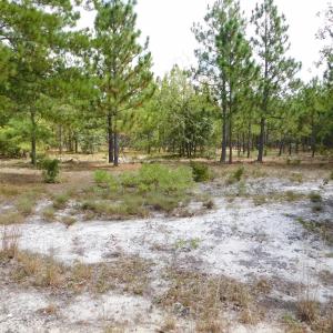 Photo #31 of SOLD property in 2139 Norris Road, Garland, NC 70.8 acres