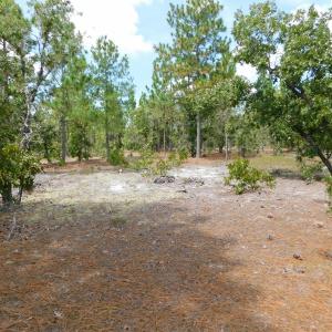 Photo #37 of SOLD property in 2139 Norris Road, Garland, NC 70.8 acres