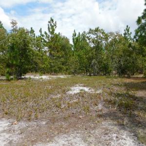 Photo #38 of SOLD property in 2139 Norris Road, Garland, NC 70.8 acres