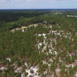 Photo #5 of SOLD property in 2139 Norris Road, Garland, NC 70.8 acres