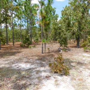 Photo #40 of SOLD property in 2139 Norris Road, Garland, NC 70.8 acres