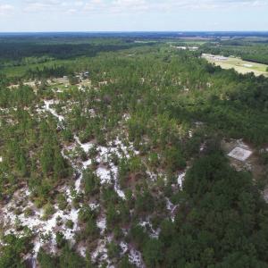 Photo #6 of SOLD property in 2139 Norris Road, Garland, NC 70.8 acres