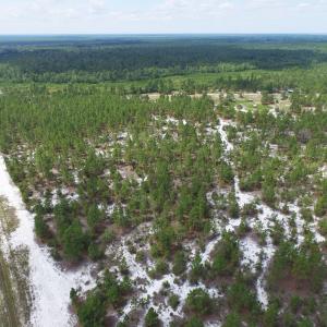 Photo #7 of SOLD property in 2139 Norris Road, Garland, NC 70.8 acres