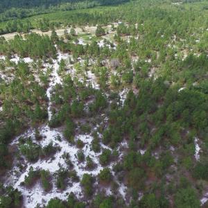 Photo #8 of SOLD property in 2139 Norris Road, Garland, NC 70.8 acres