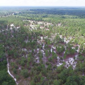 Photo #9 of SOLD property in 2139 Norris Road, Garland, NC 70.8 acres