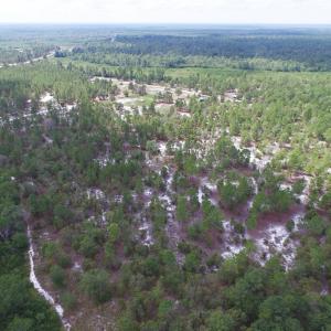 Photo #9 of SOLD property in 2139 Norris Road, Garland, NC 70.8 acres