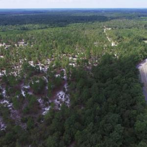 Photo #10 of SOLD property in 2139 Norris Road, Garland, NC 70.8 acres