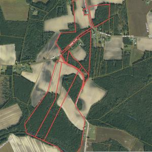 Photo #39 of SOLD property in Off Hamps Road, Nichols, SC 150.0 acres