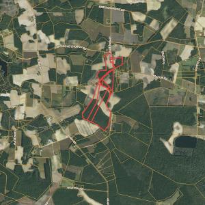 Photo #1 of SOLD property in Off Hamps Road, Nichols, SC 150.0 acres