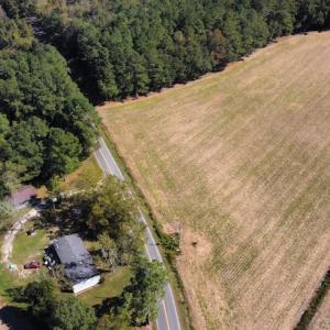 Photo #3 of SOLD property in Off Hamps Road, Nichols, SC 150.0 acres