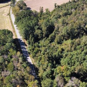 Photo #6 of SOLD property in Off Hamps Road, Nichols, SC 150.0 acres