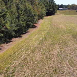 Photo #8 of SOLD property in Off Hamps Road, Nichols, SC 150.0 acres