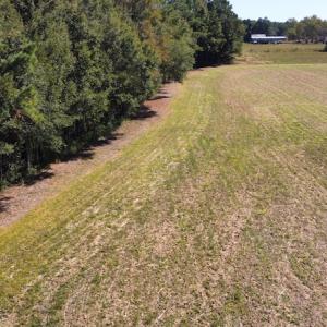 Photo #8 of SOLD property in Off Hamps Road, Nichols, SC 150.0 acres