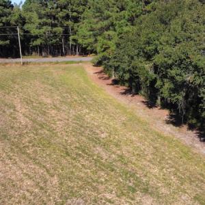 Photo #9 of SOLD property in Off Hamps Road, Nichols, SC 150.0 acres