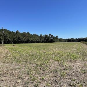 Photo #11 of SOLD property in Off Hamps Road, Nichols, SC 150.0 acres