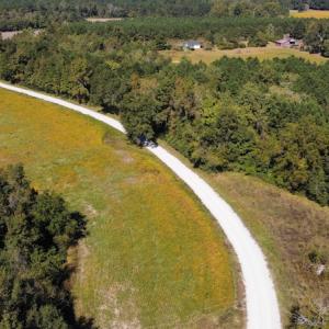 Photo #12 of SOLD property in Off Hamps Road, Nichols, SC 150.0 acres