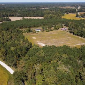 Photo #13 of SOLD property in Off Hamps Road, Nichols, SC 150.0 acres