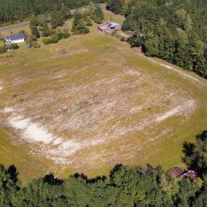 Photo #14 of SOLD property in Off Hamps Road, Nichols, SC 150.0 acres